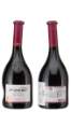 Picture of *SHIRAZ CHENET 0.75L J.P. ZOZP POLUSUHO 2021-6/1-