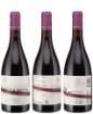 Picture of *BORDO MERLOT ROXANICH 0.75L  2012 -6/1- PHILOSOPHY